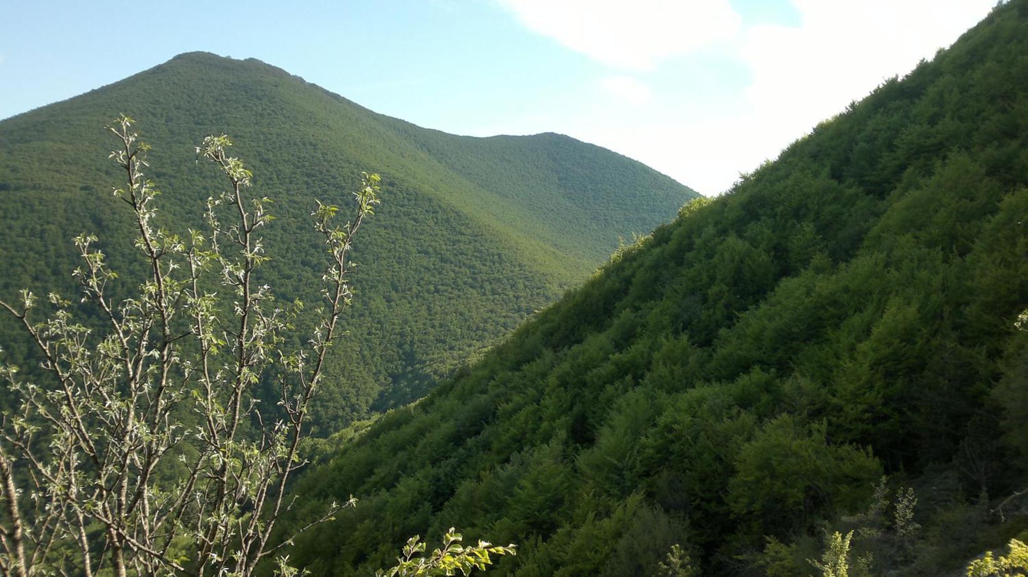 Albergo Corradetti Castel Di Sangro Dış mekan fotoğraf